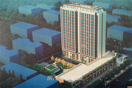 龙都容郡电梯房116.65平方套三带附房带车位毛胚房